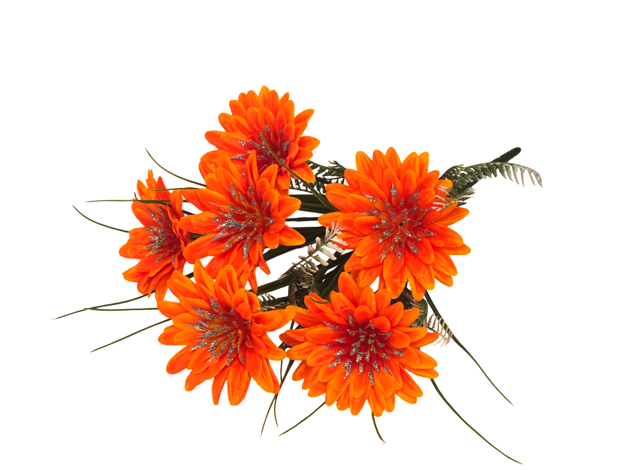 20260122_093508_Photoroom _1_.png